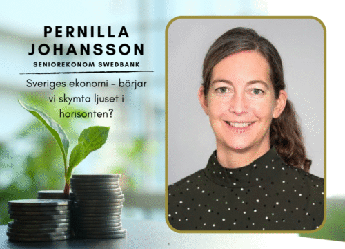 Sveriges ekonomi – börjar vi skymta ljuset i horisonten?