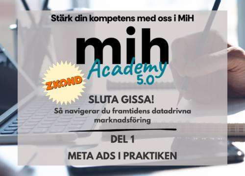 MiH Academy – Meta Ads i praktiken: Nå rätt kunder på Facebook och Instagram